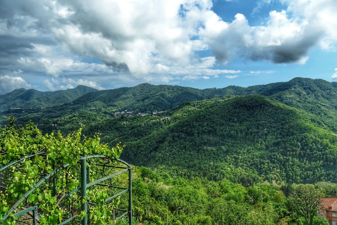 Bed And Breakfast Le Quattro Stagioni Neirone Экстерьер фото